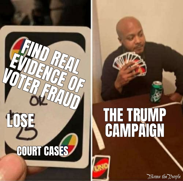 FIND REAL  EVIDENCE OF VOTER FRAUD... LOSE... COURT CASES... THE TRUMP CAMPAIGN