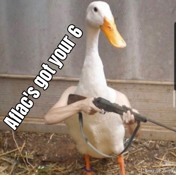 Aflac's got your 6