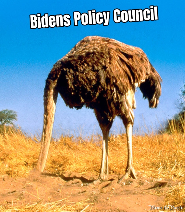Bidens Policy Council