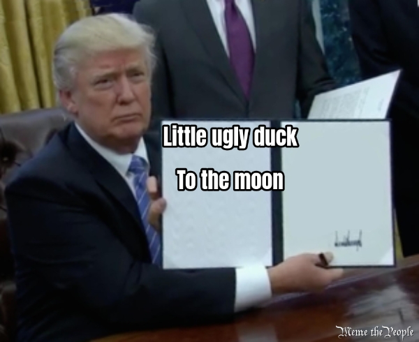Little ugly duck  To the moon
