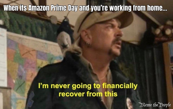 When its Amazon Prime Day and you’re working from home…